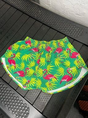 Men's 1inch Boa Running Shorts — Green Flamingo Print